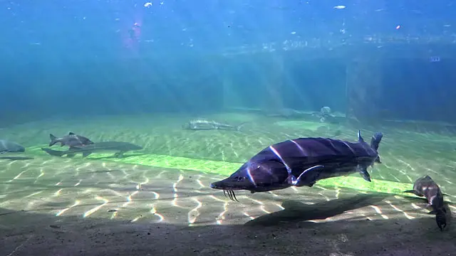 NaturaGart Newsletter 02. April 2026